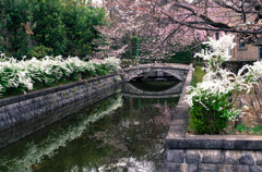 昭和の風景