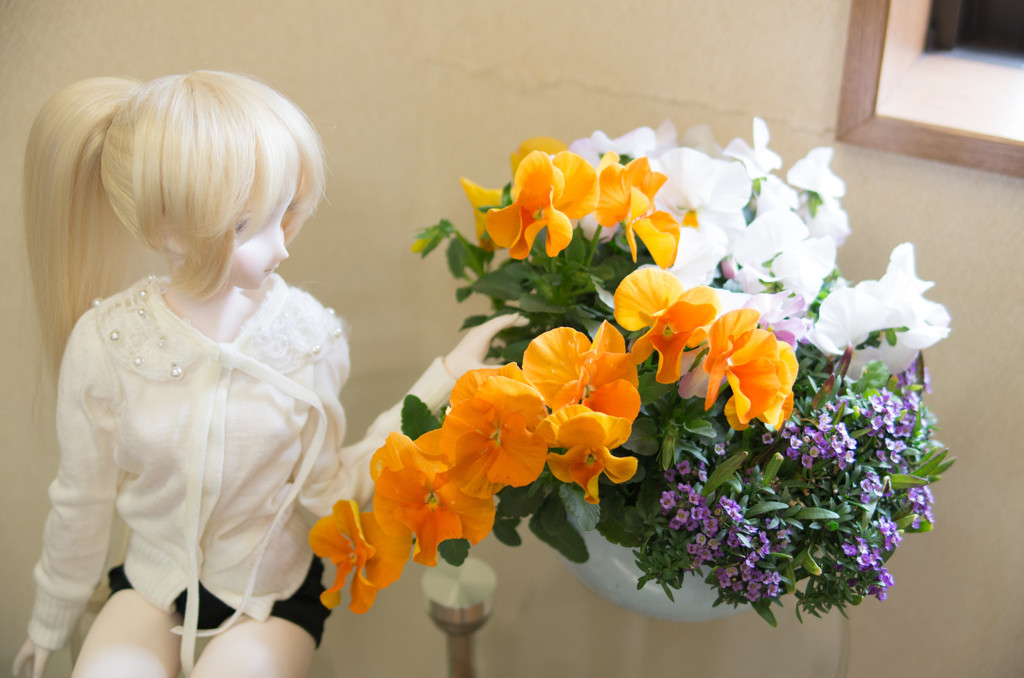 ドールと花