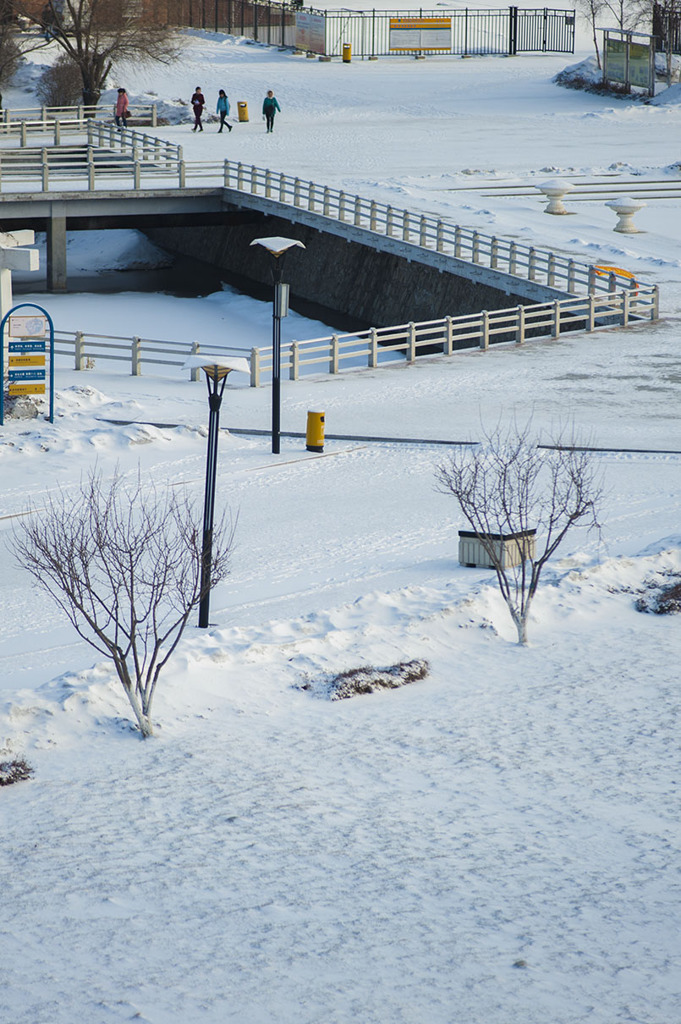 雪