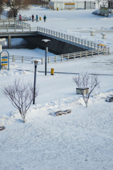雪