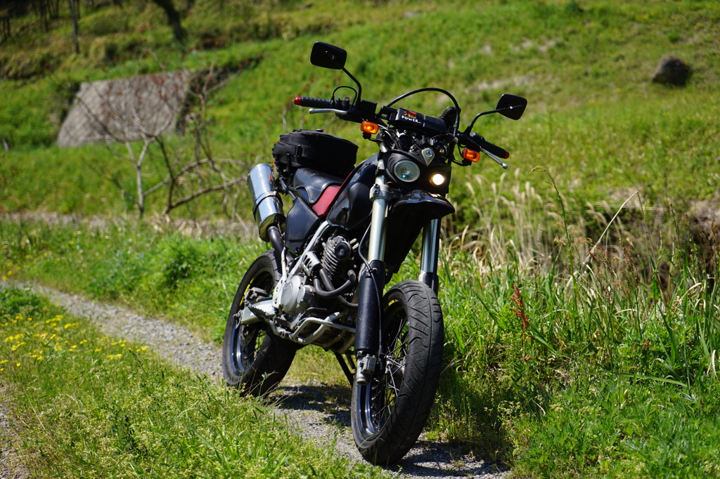 xr250mt3
