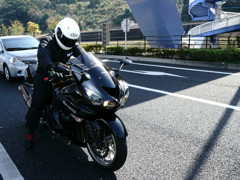 グース？