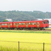 菜の花列車