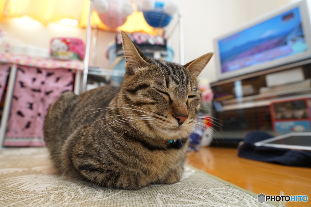 至福の部屋