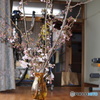 枝桜