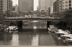 moon on the river