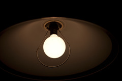 light in the dark