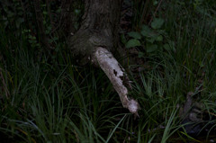 obscure