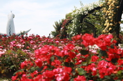 ローズガーデン