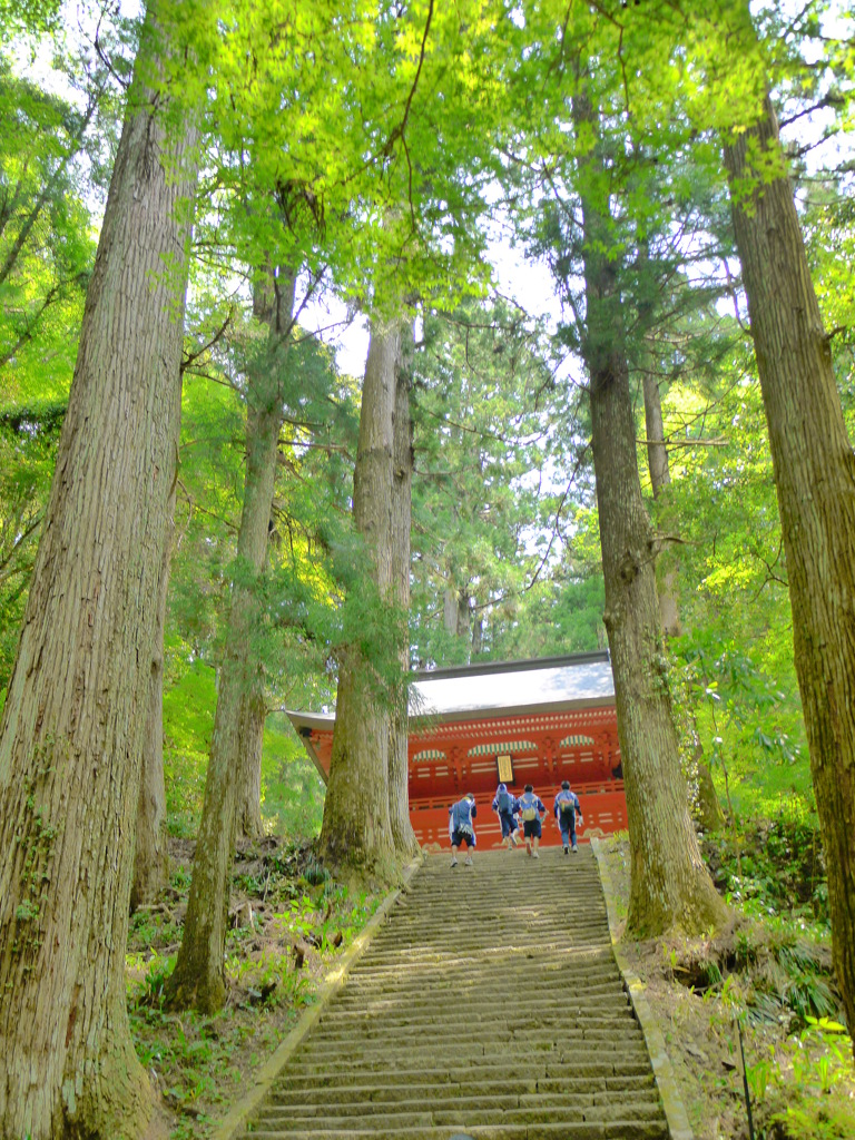 山登り
