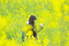 黄色