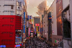 いましかみれない(かもしれない)