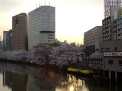 市ヶ谷橋の上から