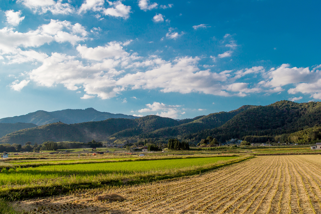 奥嵯峨