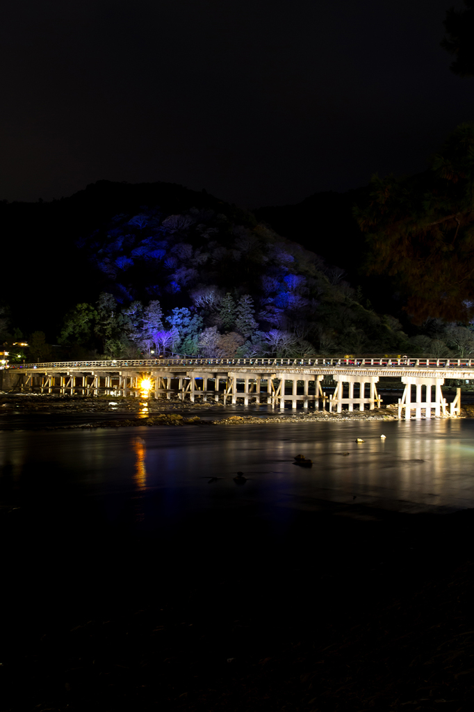 嵐山　花灯路　2013　其の2