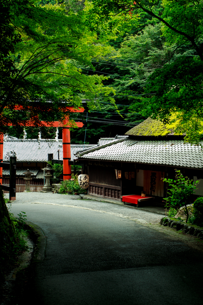 平野屋