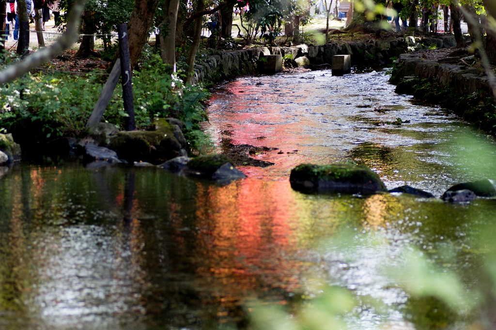 水面を染める紅葉