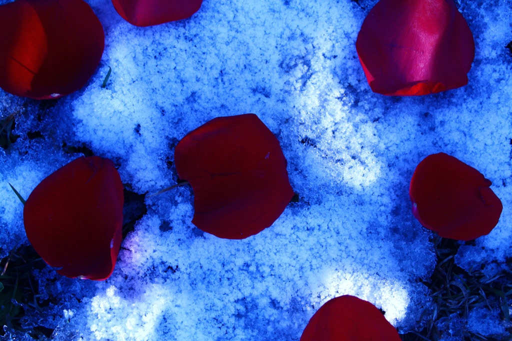 あらゆる場所に花束が...