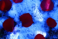 あらゆる場所に花束が...