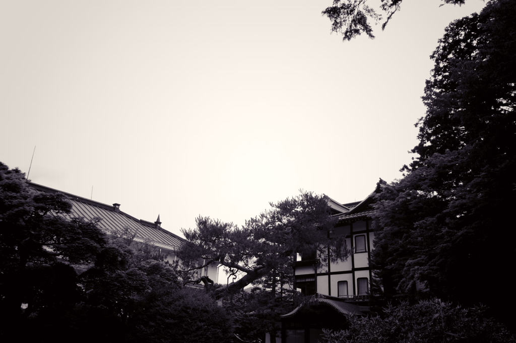 写真部撮影旅行～日光編～（小春）