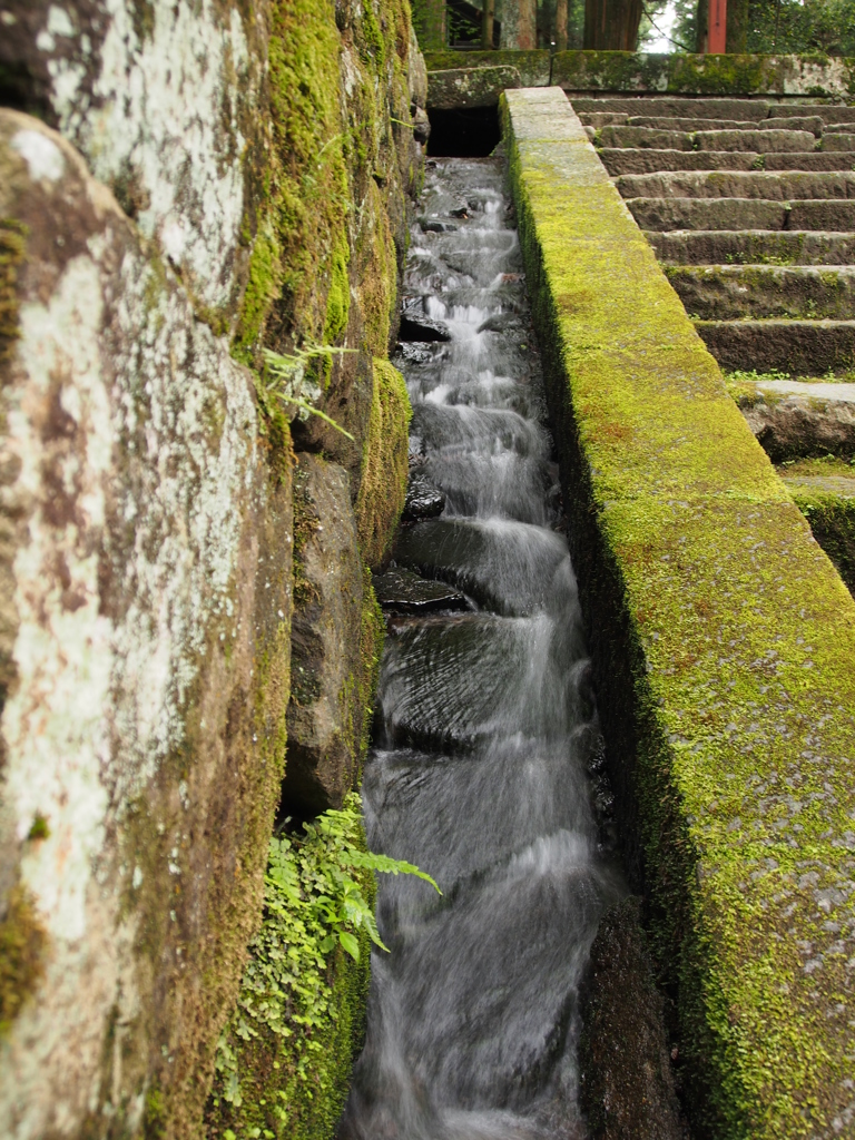写真部撮影旅行～日光編～（やや）