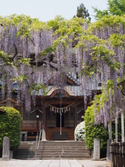 寺社仏閣