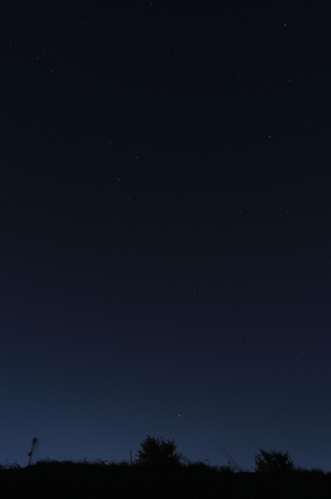 夜景