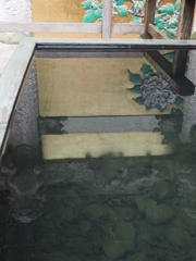 写真部撮影旅行～日光編～（やや）