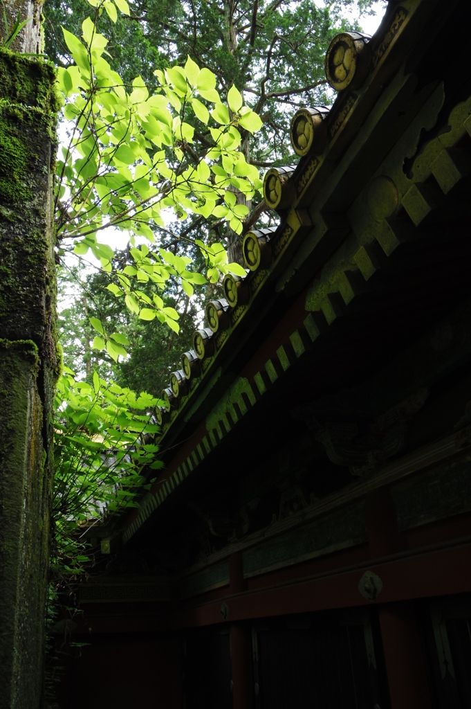 写真部撮影旅行～日光編～（小春）