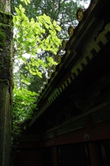 写真部撮影旅行～日光編～（小春）