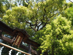 寺社仏閣
