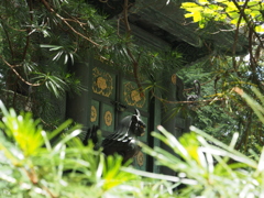 写真部撮影旅行～日光編～（やや）