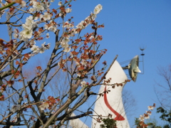 梅の花と太陽の塔