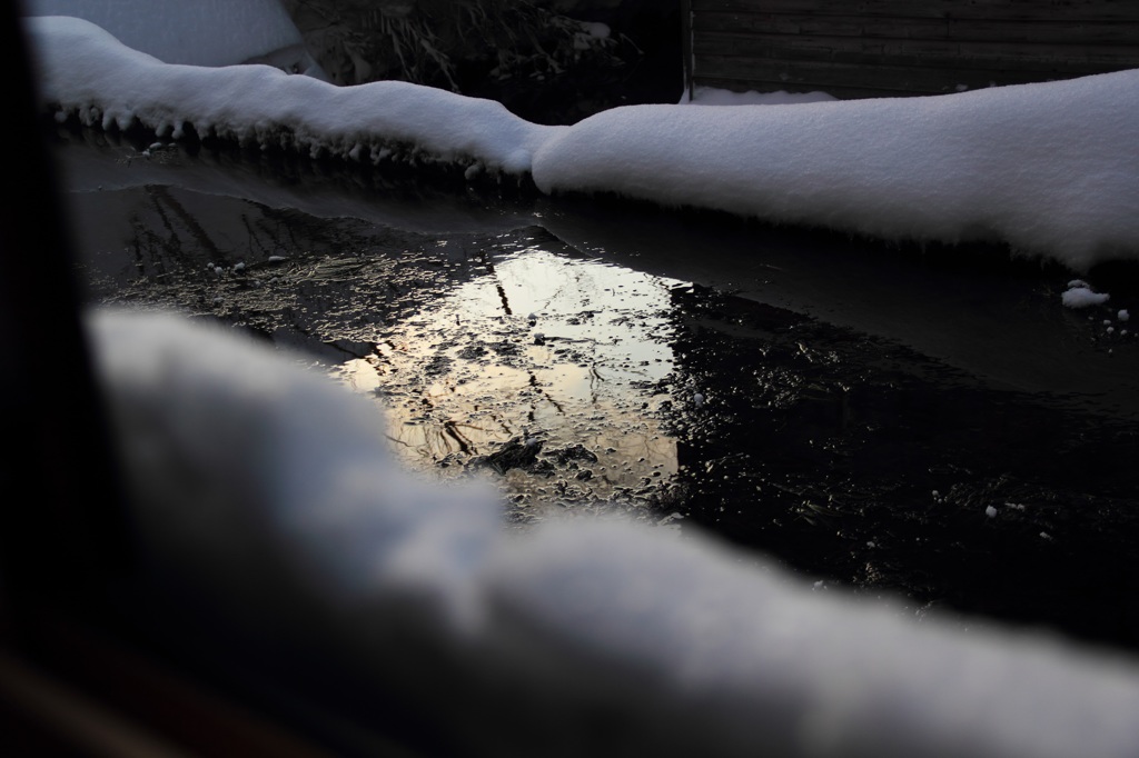 氷が張ってる