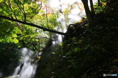 温泉の湯気