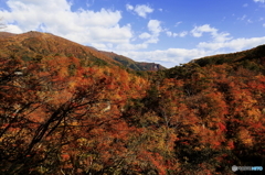 鳴子の紅葉