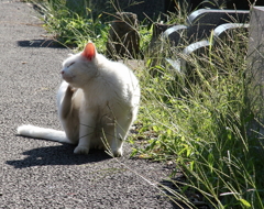 眠いんだよな～