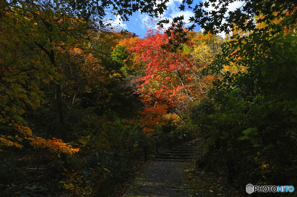 鳴子　紅葉