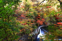 川と紅葉