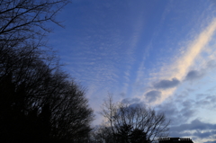 見上げた空