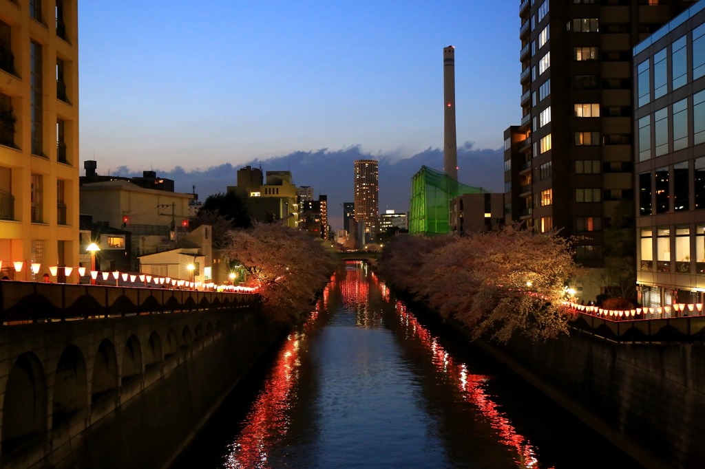 夜がやってくる