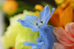 花束の中