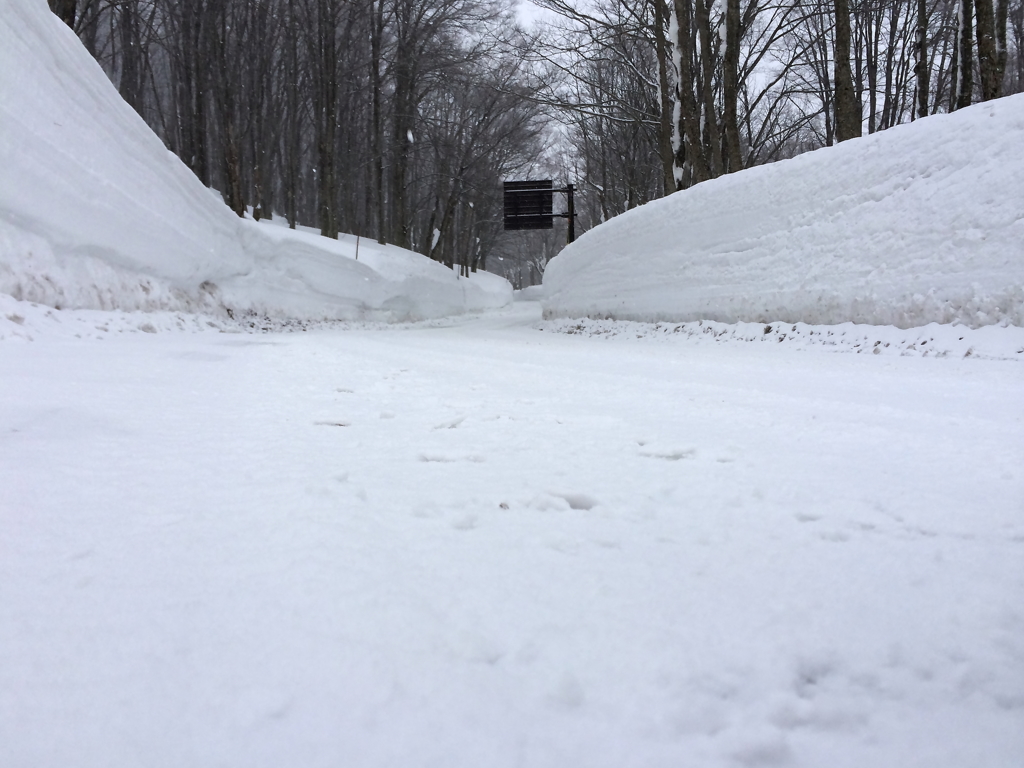雪になって落ちたら