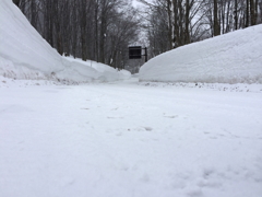 雪になって落ちたら
