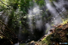 湯気
