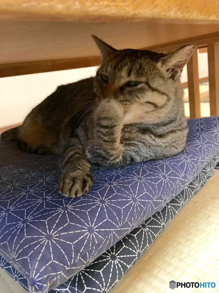 目が合った