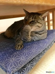 目が合った