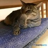 目が合った