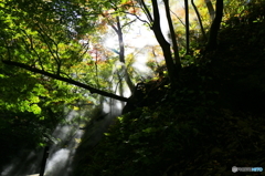 温泉の湯気