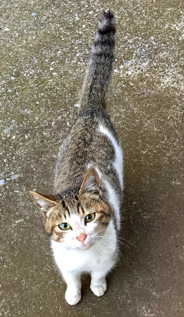 熱い眼差し